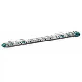 Cintes transportadores